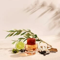 Bottega Veneta Illusione For Her -Negozio online Regalo Di Profumo Italia 2024 cont bottega veneta illusione her36142256219324p