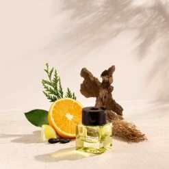 Bottega Veneta Illusione For Him -Negozio online Regalo Di Profumo Italia 2024 cont bottega veneta illusione him36142250087264p