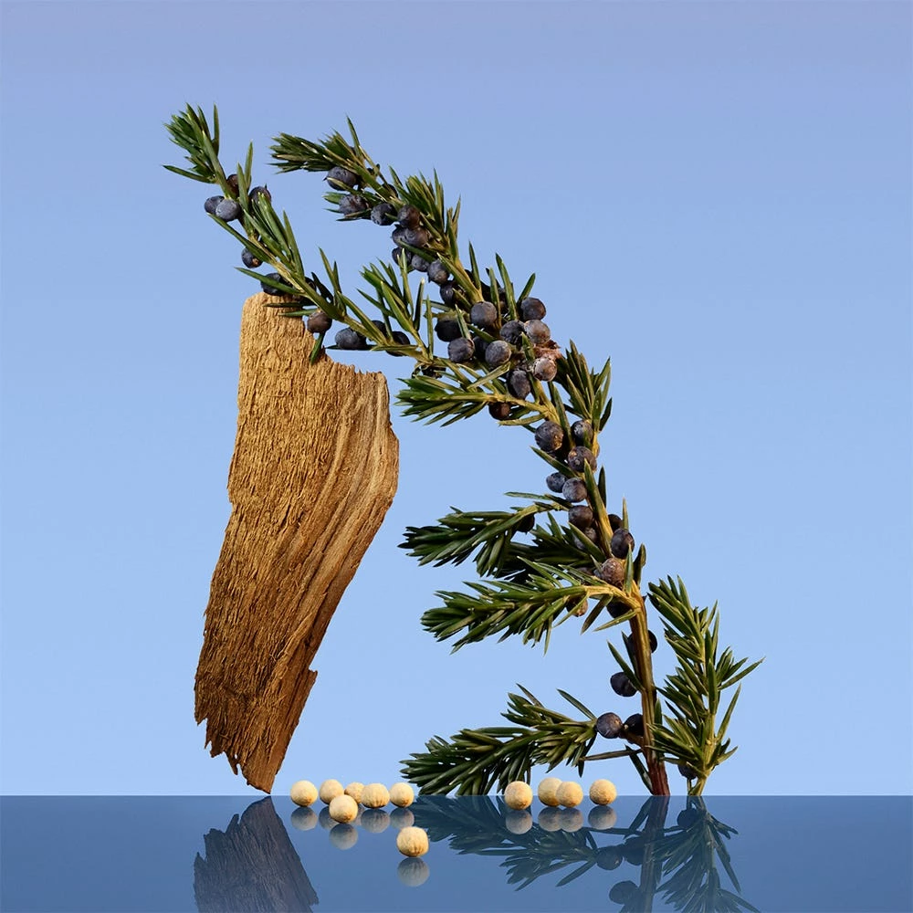 Calvin Klein Ck Be 7 Calvin Klein Ck Be - immagine 5