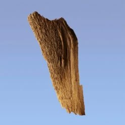 Calvin Klein Ck Be 16 Calvin Klein Ck Be -Negozio online Regalo Di Profumo Italia 2024 cont calvin klein ck be00883006044327p