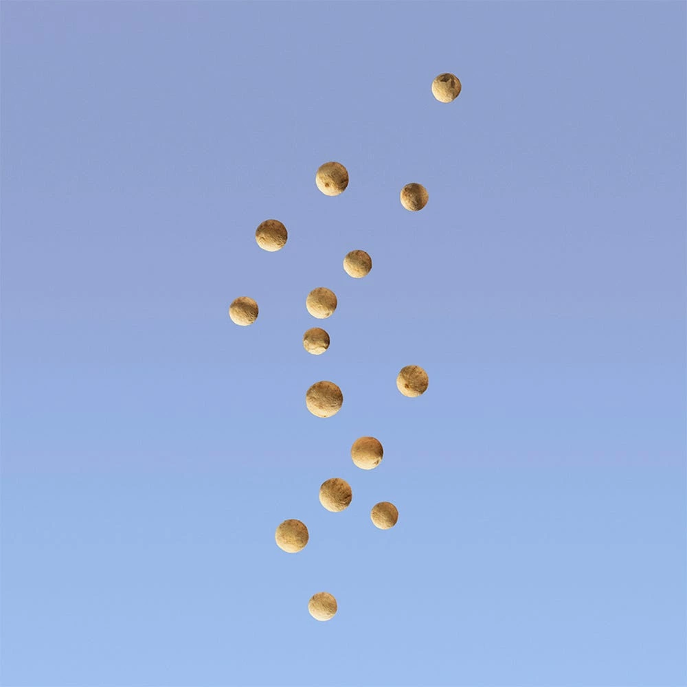 Calvin Klein Ck Be 10 Calvin Klein Ck Be - immagine 8