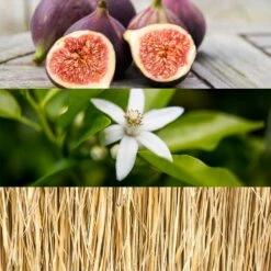 Calvin Klein Ck One Gold -Negozio online Regalo Di Profumo Italia 2024 cont calvin klein ck one gold36142215377634p