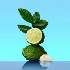 Calvin Klein Ck One -Negozio online Regalo Di Profumo Italia 2024 cont calvin klein ck one00883006074335p