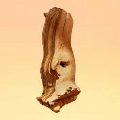 Calvin Klein Eternity For Her -Negozio online Regalo Di Profumo Italia 2024 cont calvin klein eternity d00883006014008p