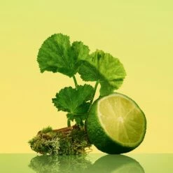 Calvin Klein Eternity -Negozio online Regalo Di Profumo Italia 2024 cont calvin klein eternity u00883006053095p