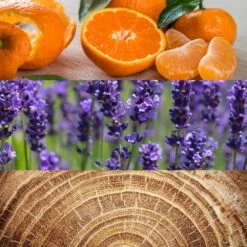 Calvin Klein Obsession For Men -Negozio online Regalo Di Profumo Italia 2024 cont calvin klein obsession u00883006065114p