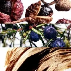 DAVIDOFF COOL WATER WAVE -Negozio online Regalo Di Profumo Italia 2024 cont davidoff cool water wave36142233799345p