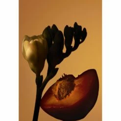 Hugo Boss BOSS THE SCENT PRIVATE ACCORD FOR HER -Negozio online Regalo Di Profumo Italia 2024 cont hugo boss 36142273917897p