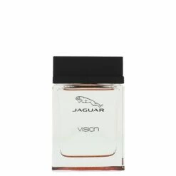 Jaguar Vision Sport