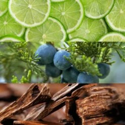 LACOSTE Club Homme 9 LACOSTE Club Homme -Negozio online Regalo Di Profumo Italia 2024 cont lacoste lacoste u07370528924124p