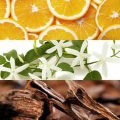 LACOSTE Touch Of Pink -Negozio online Regalo Di Profumo Italia 2024 cont lacoste touch of pink07370521913484p