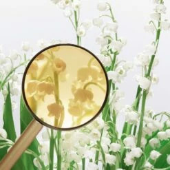 Miu Miu L'Eau Bleue 11 Miu Miu L'Eau Bleue -Negozio online Regalo Di Profumo Italia 2024 cont miu miu miu miu eau bleue36142225315865p