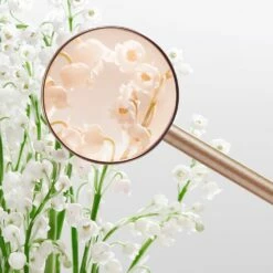 Miu Miu L'Eau Rosée 11 Miu Miu L'Eau Rosée -Negozio online Regalo Di Profumo Italia 2024 cont miu miu miu miu eau rosee36142234872955p