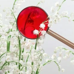 Miu Miu -Negozio online Regalo Di Profumo Italia 2024 cont miu miu miu miu36142203225755p