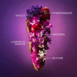 Shiseido Ginza Murasaki -Negozio online Regalo Di Profumo Italia 2024 cont shiseido shis ginza muraz07686141848674p