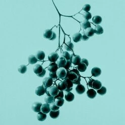 Tiffany & Co. Intense -Negozio online Regalo Di Profumo Italia 2024 cont tiffany tiffanyco edp36142269404909p