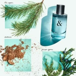 Tiffany & Co. Tiffany & Love For Him 12 Tiffany & Co. Tiffany & Love For Him -Negozio online Regalo Di Profumo Italia 2024 cont tiffany tiffanyco love him36142277287834p