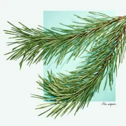 Tiffany & Co. Tiffany & Love For Him 13 Tiffany & Co. Tiffany & Love For Him -Negozio online Regalo Di Profumo Italia 2024 cont tiffany tiffanyco love him36142277287835p