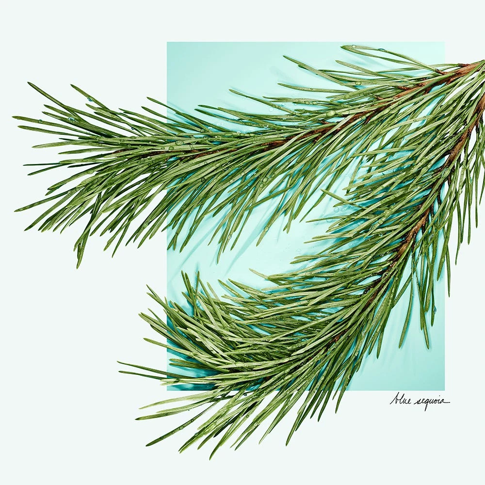 Tiffany & Co. Tiffany & Love For Him 7 Tiffany & Co. Tiffany & Love For Him - immagine 5