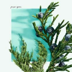 Tiffany & Co. Tiffany & Love For Him 15 Tiffany & Co. Tiffany & Love For Him -Negozio online Regalo Di Profumo Italia 2024 cont tiffany tiffanyco love him36142277287837p