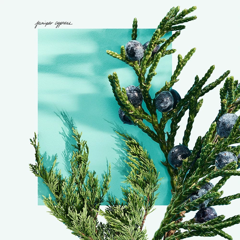 Tiffany & Co. Tiffany & Love For Him 9 Tiffany & Co. Tiffany & Love For Him - immagine 7