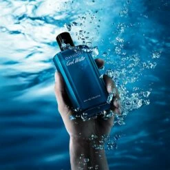 Davidoff Cool Water -Negozio online Regalo Di Profumo Italia 2024 vecc davidoff cool water u34142020005105p