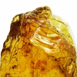 Davidoff Cool Water -Negozio online Regalo Di Profumo Italia 2024 vecc davidoff cool water u34142020005106p