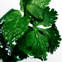 Davidoff Cool Water -Negozio online Regalo Di Profumo Italia 2024 vecc davidoff cool water u34142020005108p